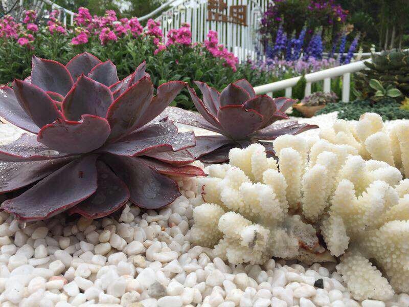 QQ圖片20190404155302