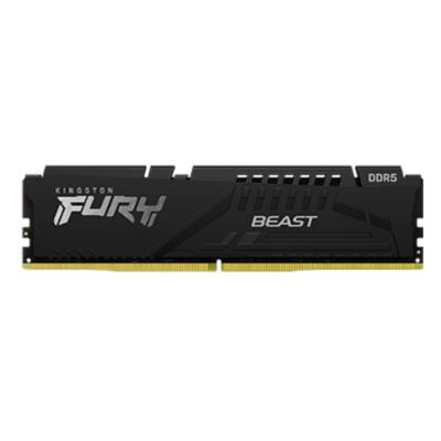 kingston/金士頓 Beast DDR5 內存