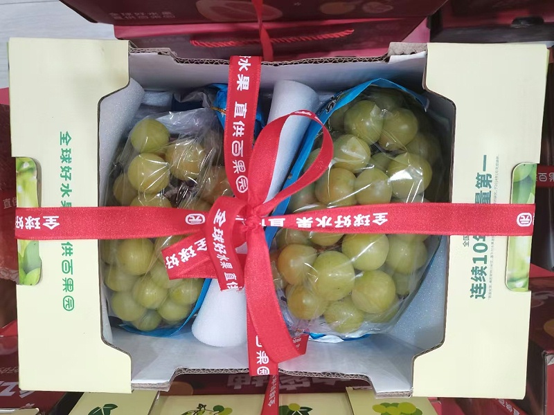 微信圖片_20241129103951