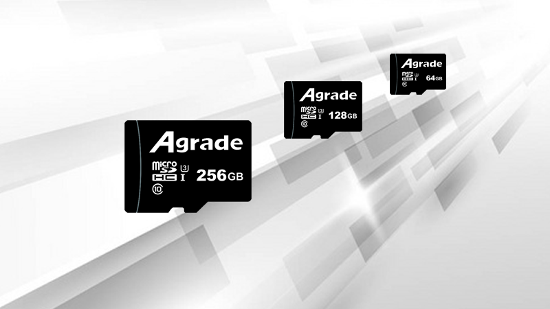 TF20240911 TF20240911